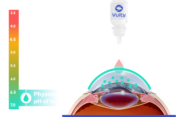 Illustration of how VUITYTM prescription eyedrop impacts near and intermediate blurry vision due to age-related presbyopia